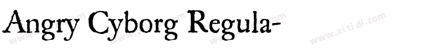 Angry Cyborg Regula字体转换
